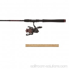 PENN Fierce II Spinning Reel and Fishing Rod Combo 563073086